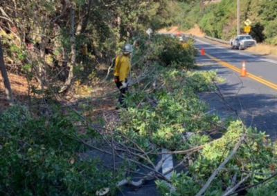 wildfire prevention one volunteer one car WCCFSC 20250118