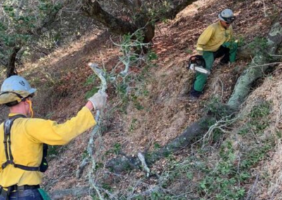 wildfire prevention several volunteers clearing brush WCCFSC 20250118