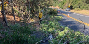 East Bay Regional Park District (EBRPD) Tour of Richmond Wildfire Concern Areas